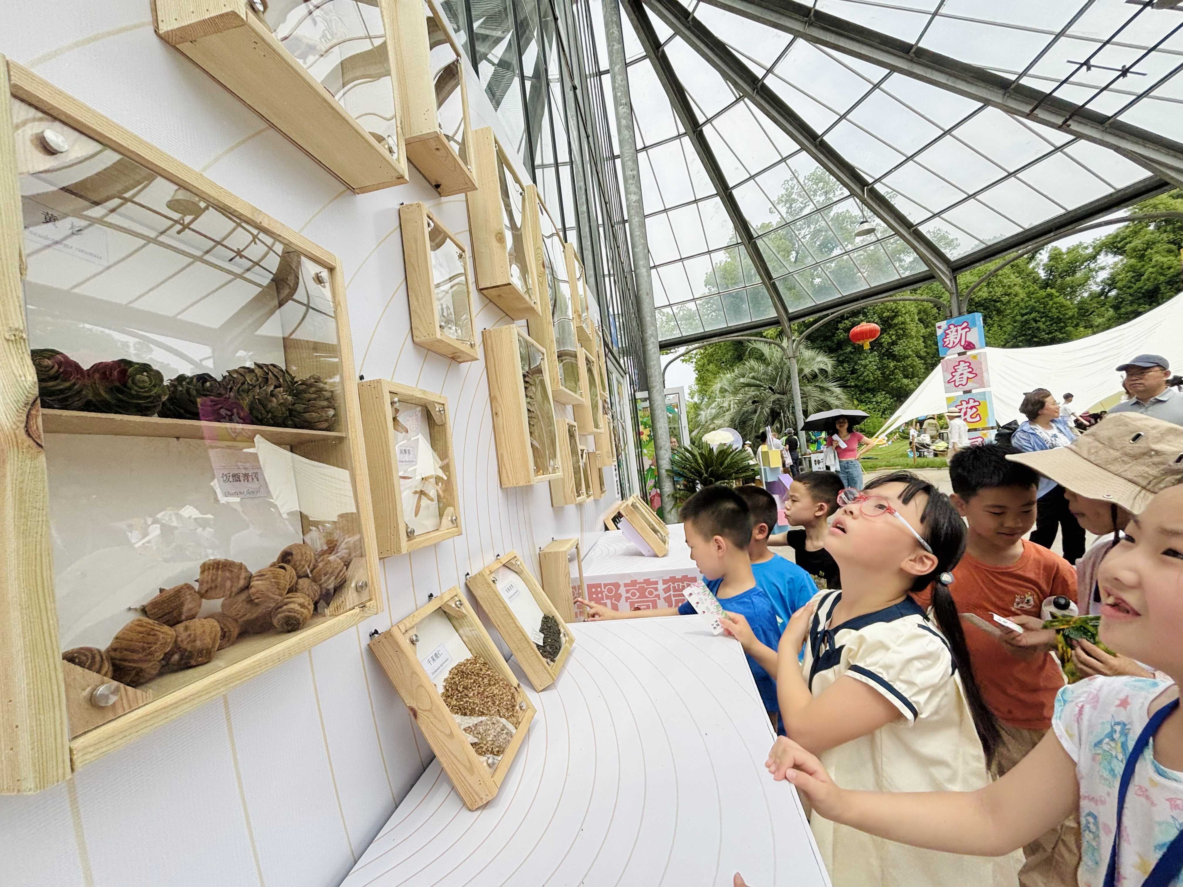 探秘“種子的力量”武漢植物園舉辦第二十一屆公眾科學日活動